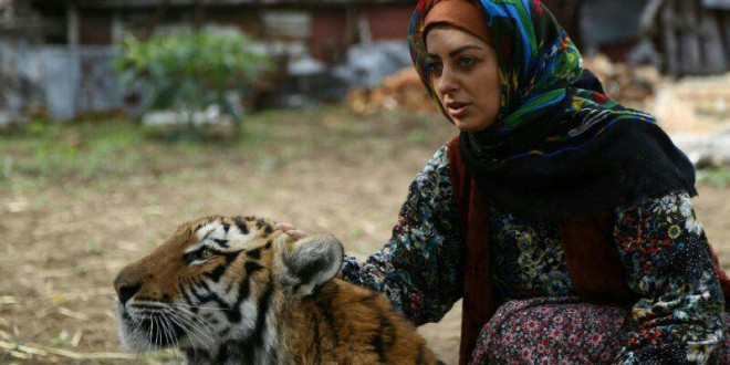 اولین فیلم سینمای ایران با بازی ببر واقعی توسط جوان باغخواصی هادی رحیمی خواص ساخته شد